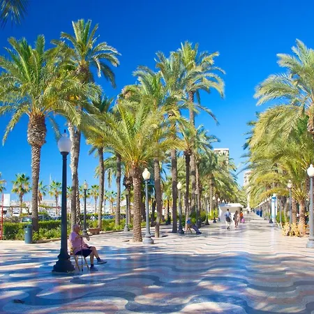 Appartement Ideally Located And Alicante